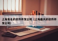 上海有名的软件开发公司（上海最大的软件开发公司）