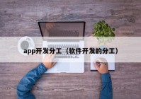 app开发分工（软件开发的分工）