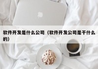 软件开发是什么公司（软件开发公司是干什么的）