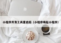 小程序开发工具重启后（小程序唤起小程序）