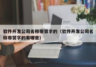 软件开发公司名称带贤字的（软件开发公司名称带贤字的有哪些）