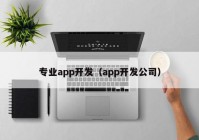 专业app开发（app开发公司）