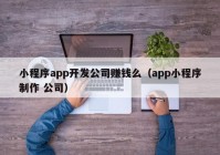 小程序app开发公司赚钱么（app小程序制作 公司）