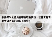 软件开发公务员有哪些职业岗位（软件工程专业考公务员的职位有哪些）