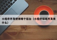 小程序开发使用哪个后台（小程序后端开发用什么）