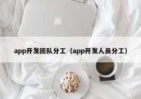 app开发团队分工（app开发人员分工）