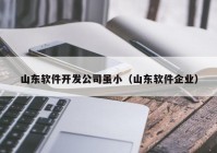 山东软件开发公司虽小（山东软件企业）