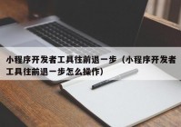 小程序开发者工具往前退一步（小程序开发者工具往前退一步怎么操作）