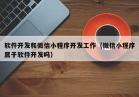 软件开发和微信小程序开发工作（微信小程序属于软件开发吗）