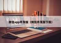 微信app开发版（微信开发版下载）