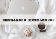 贵阳分销小程序开发（贵阳微信小程序公司）