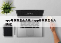 app开发费怎么入账（app开发费怎么入账的）